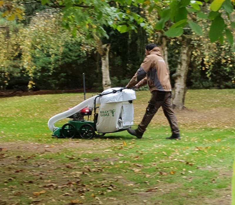 Haag Garten- und Landschaftsbau in Geldern, Gartengestaltung vom Profi