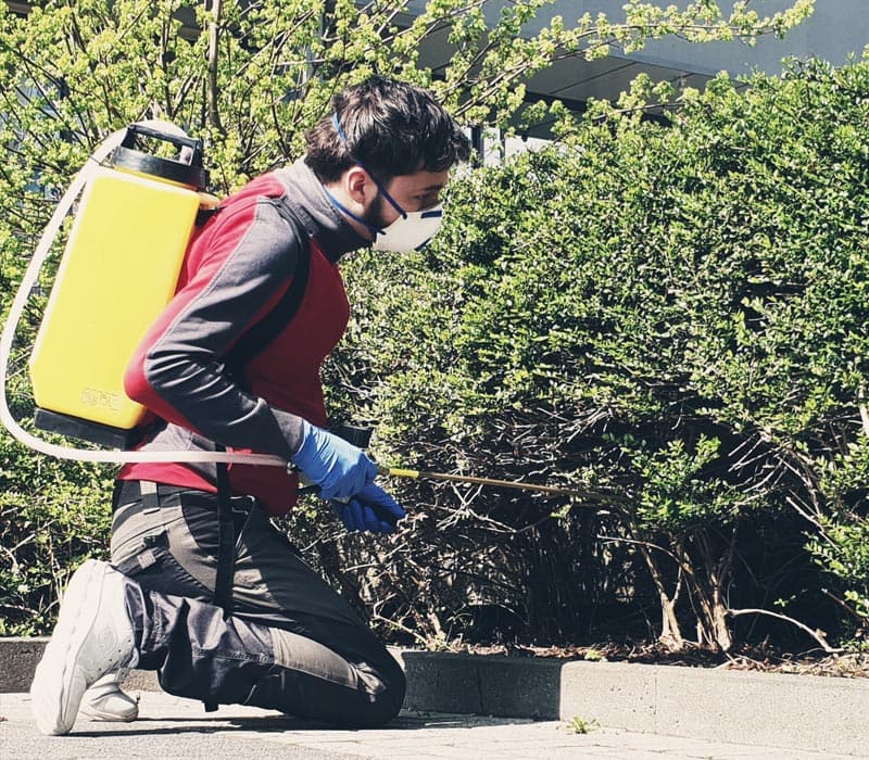 Haag Galabau in Geldern, Kevelaer, Kerken, Issum, Pont und vielen anderen Städten am Niederrhein