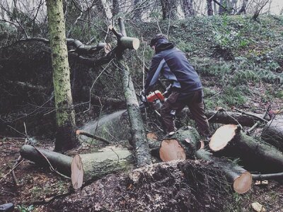 Haag Galabau - Referenzen