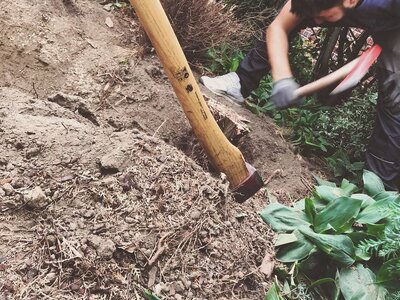 Haag Galabau - Referenzen