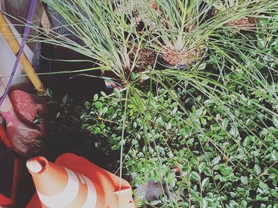 Haag Galabau - Referenzen