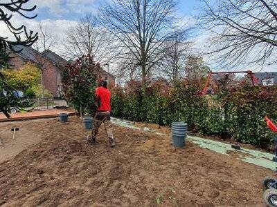 Haag Galabau - Projekt Garten- und Landschaftsbau Wachtendonk