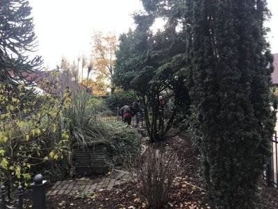 Haag Galabau - Projekt Garten- und Landschaftsbau Wachtendonk