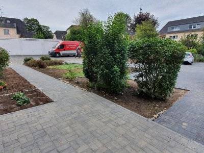 Haag Galabau - Projekt Parkplatz Pflaster erneuern