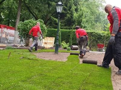 Haag Galabau - Projekt Japanischer Garten Krefeld