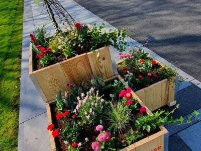 Haag Galabau - Projekt Landesgartenschau Kamp-Lintfort 2020