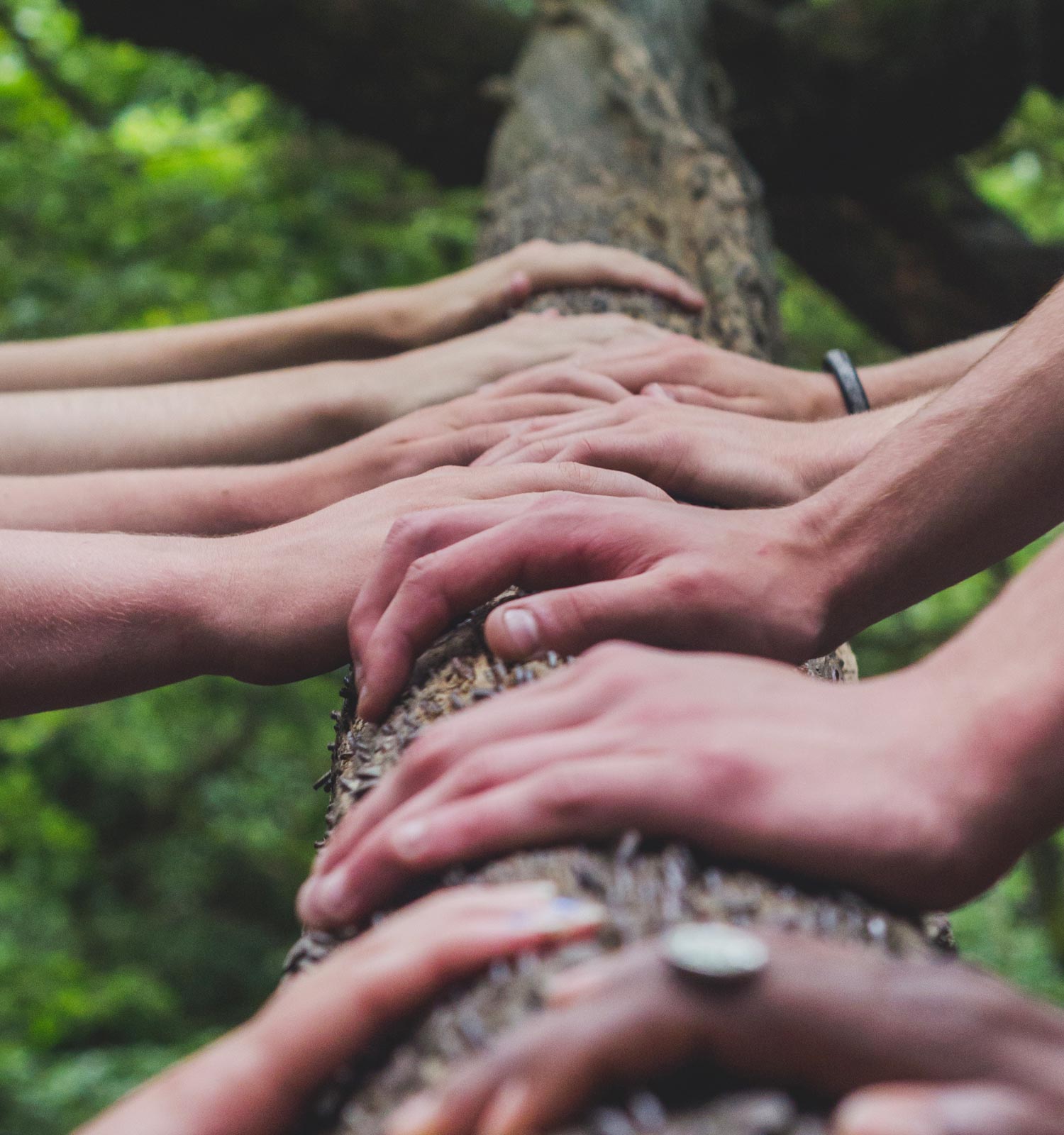 Haag Garten- und Landschaftsbau aus Geldern - Schöner Garten und TOP Gartengestaltung garantiert